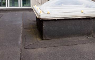 disadvantages of Aglionby flat roofs