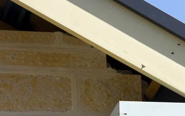 soffit repair Aglionby